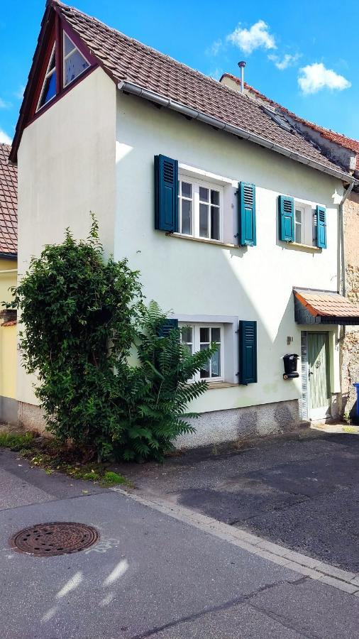 Schoenes Gemuetliches Haus Toplage Freinsheim Exterior photo