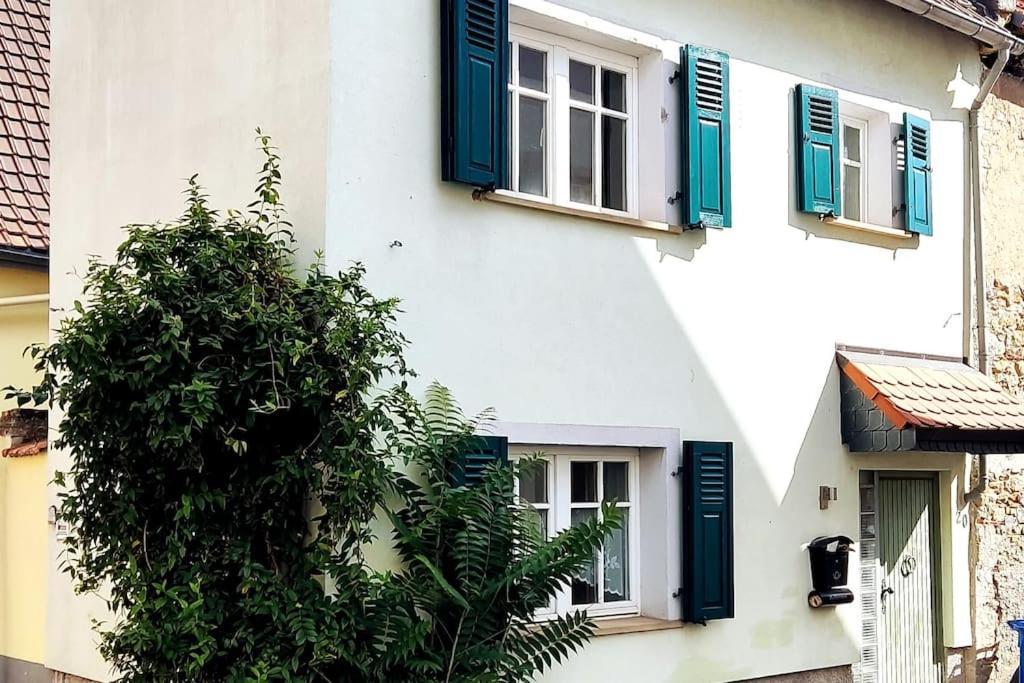 Schoenes Gemuetliches Haus Toplage Freinsheim Exterior photo